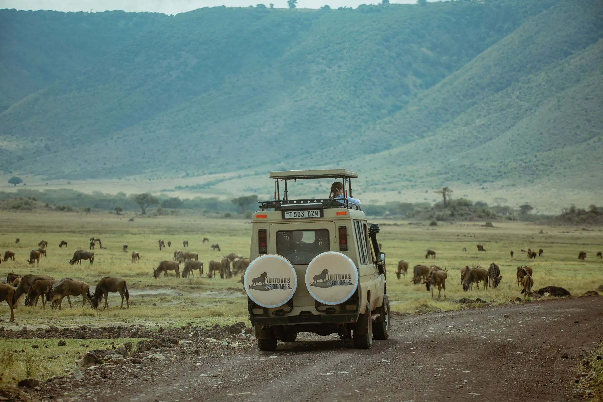 Wildlife in an East African safari landscape